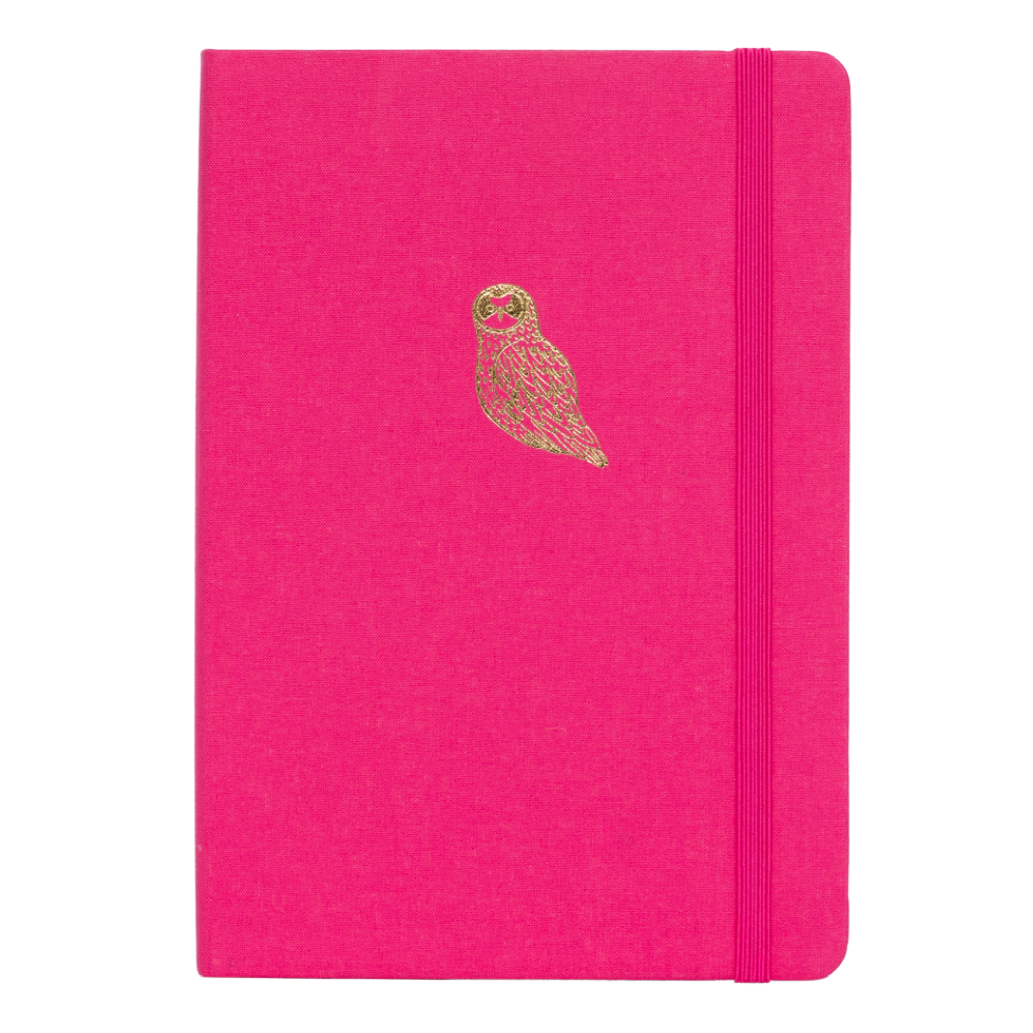 Owl Notebook