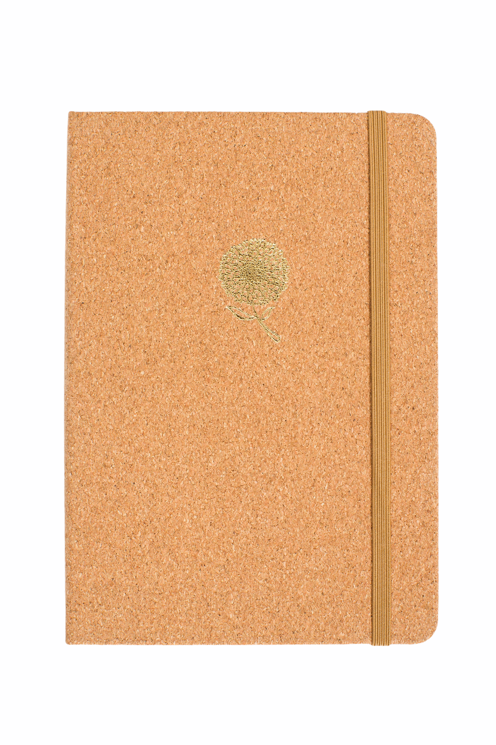 Specialist Journal Starter Box (various journal options)