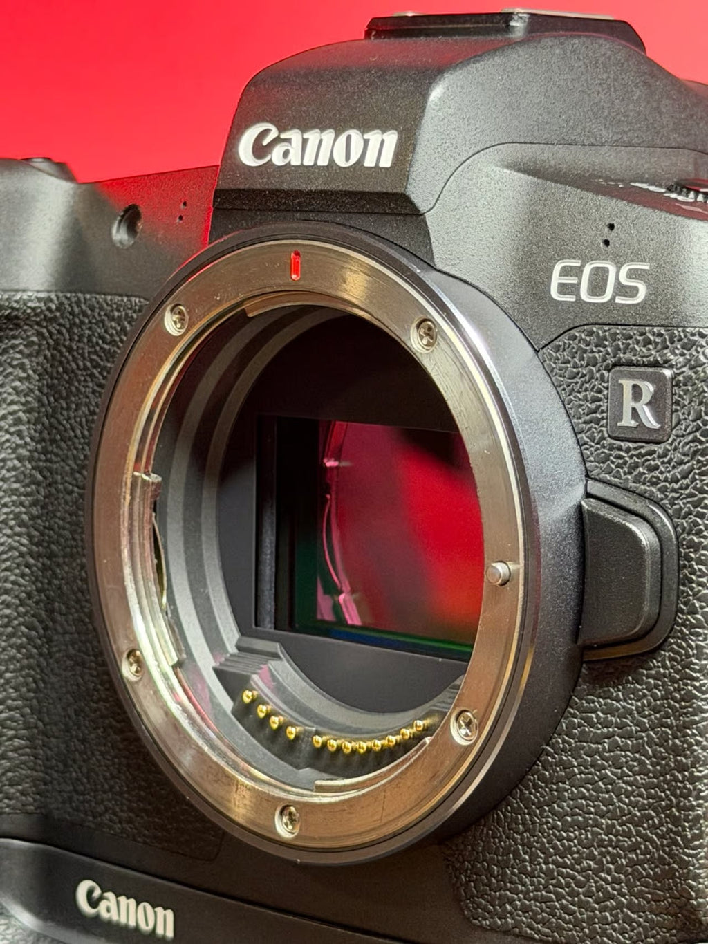 Canon EOS R 30.3MP Mirrorless Digital Camera Body Full Frame Camera