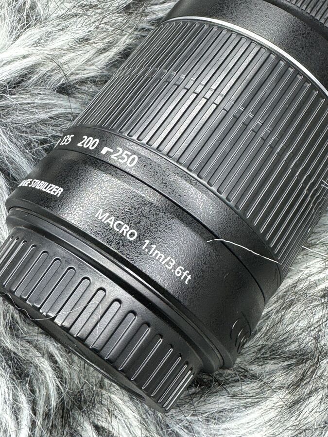 Canon EOS 77D 24.2 MP Digital Slr Camera with EF-S 18-55mm + ef-s 55-250mm Lenses